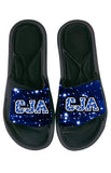 SLIDES-CJA